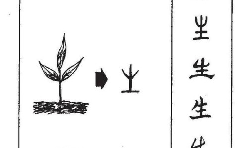 佩戴玛瑙的作用功效网 - 为你提供佩戴玛瑙的作用功效是什么、佩戴玛瑙的好处瑙的功效与作用